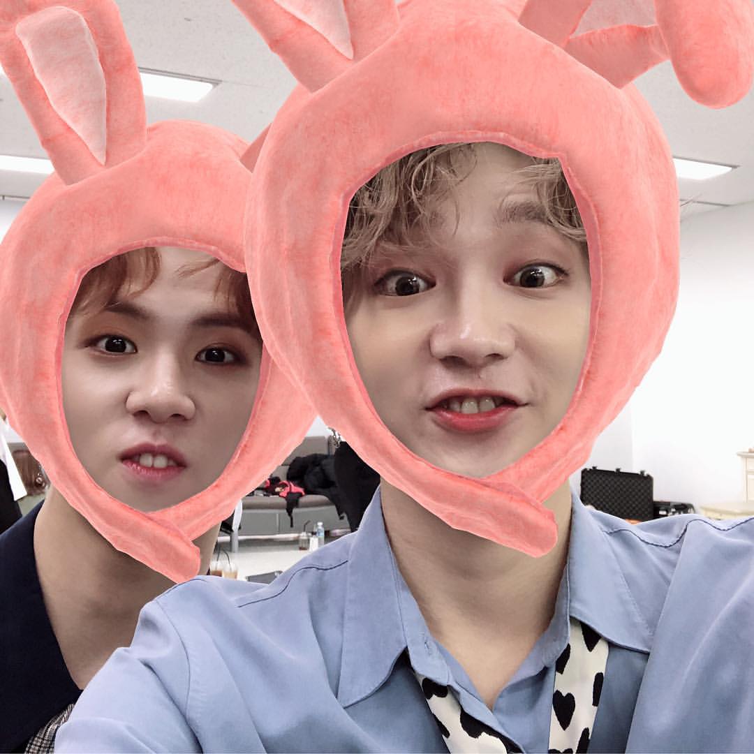 daily donghan (@hourlydonghan) on Twitter photo 