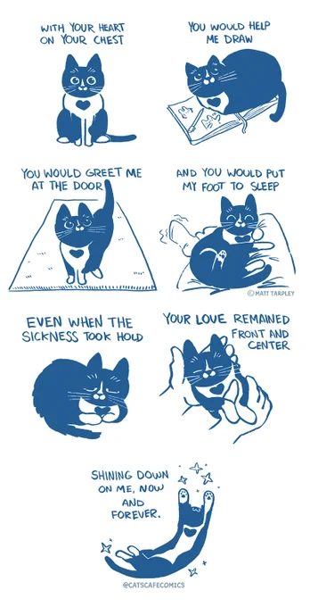 I made this comic in loving memory of my cat, Mulder. He was my best friend and I will cherish the love he gave me forever. I will miss you my little Hamham 💛 