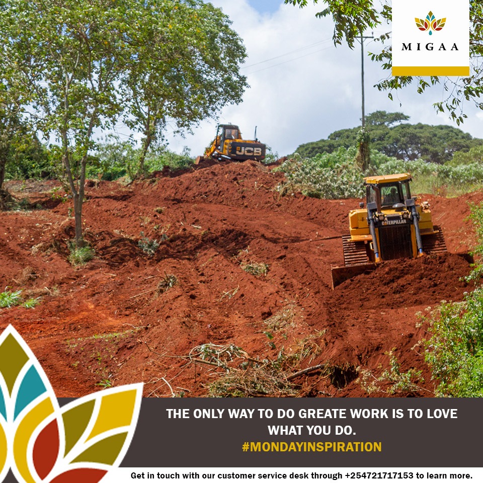 MigaaGolfEstate's tweet photo. The only way to do great work is to love what you do.
#Mondayinspiration #BuildinMigaa https://t.co/qyK6YFSBjc