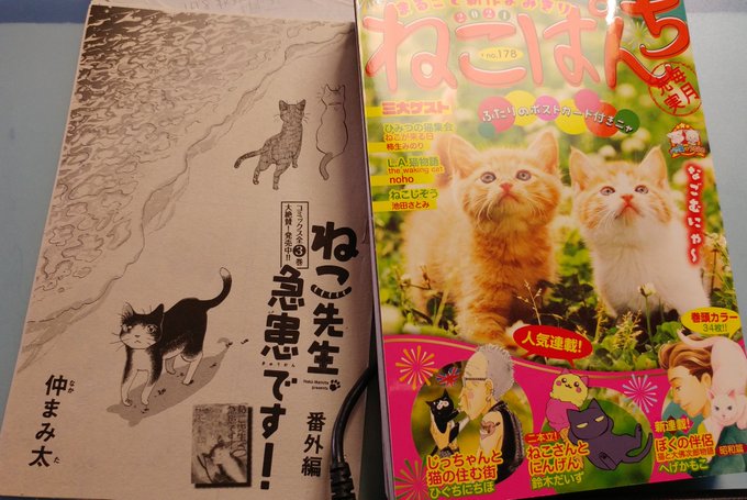 遊佐ハルカ 6 14 迷える子羊に猫の手を 2巻発売 S Recent Tweets 2 Whotwi Graphical Twitter Analysis 遊佐ハルカ 6 14 迷える子羊に猫の手を 2巻発売 S Recent Tweets 2 Whotwi Graphical Twitter Analysis
