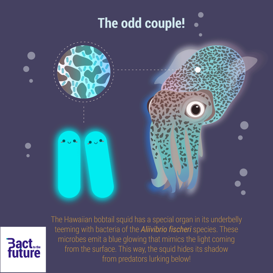 Bact To The Future tweet media