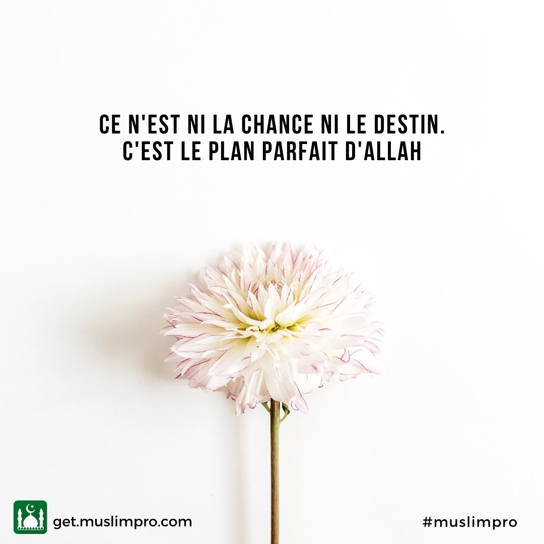 Muslim Pro App France Citation Du Jour Muslimpro Qotd T Co F3t1hcelt1 Twitter Muslim Pro App France Citation Du Jour Muslimpro Qotd T Co F3t1hcelt1 Twitter