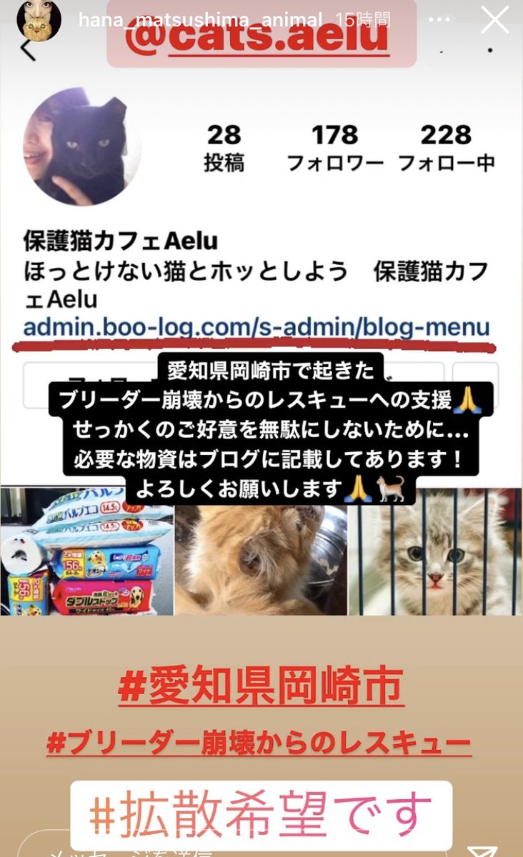 猫の手 フミフミ Nekonote2323 Twitter 猫の手 フミフミ Nekonote2323 Twitter