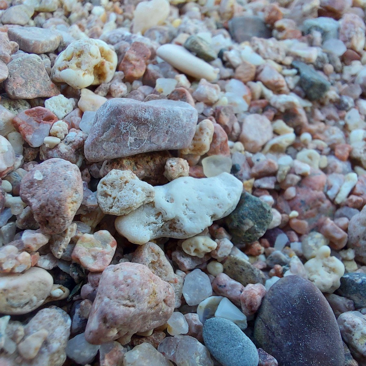 #هنا_حقل
من أجمل شواطئ البحر الأحمر إن لم يكن الأجمل على الإطلاق