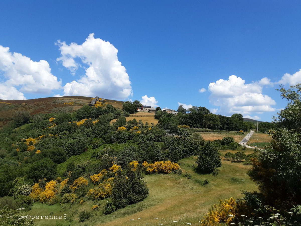 Perenne5's tweet photo. Los #Buenosdias de hoy, con el pueblo de Cantejeira #Bierzo #leonesp Sierra de Ancares. La palloza, bar-restaurante parece una sala de arte; cuenta en su interior con esculturas de madera creadas por Domingo González. 
#FelizLunes #FelizSemana #14junio 💙💚🍀 https://t.co/gqhWu3Uxm5