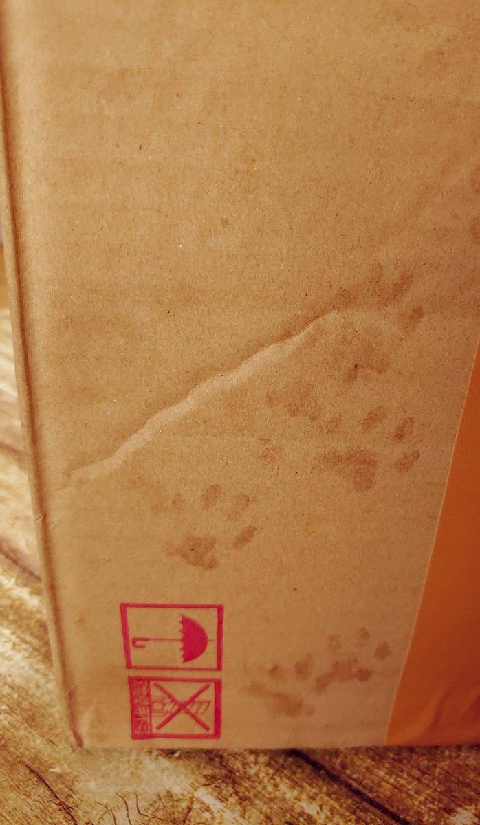 ダンボールが汚れてしまったと配達員さんに謝られたが 猫好きにはむしろご褒美だった クロネコヤマトの新サービスか 受領印かな Togetter