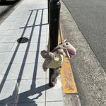恐竜のぬいぐるみリュックの落とし物？!大阪市内玉造筋で探している方いらっしゃいませんか？