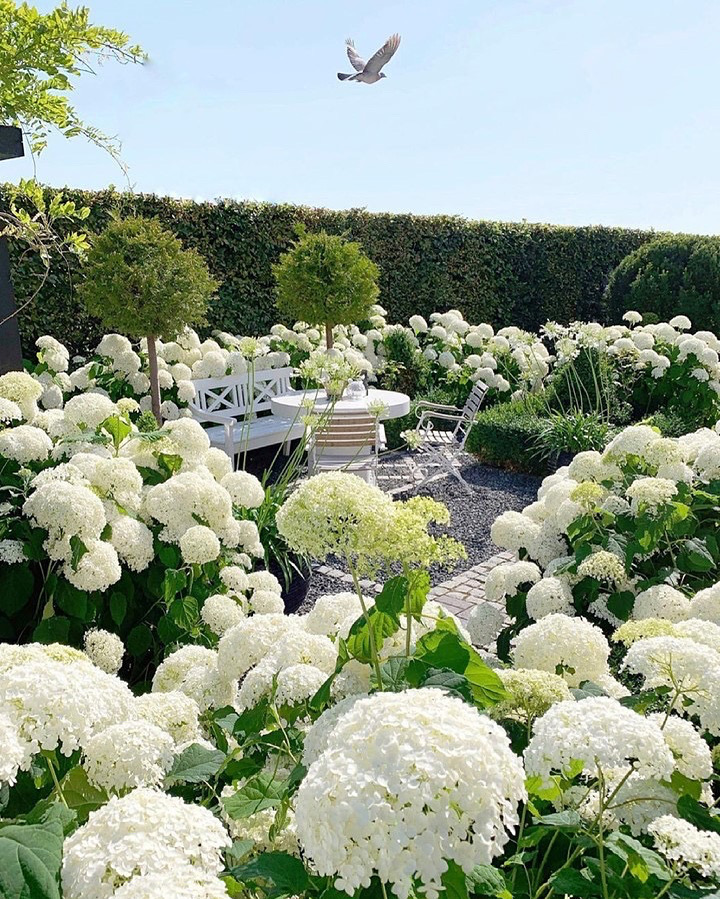 Barbara Patchis tweet media