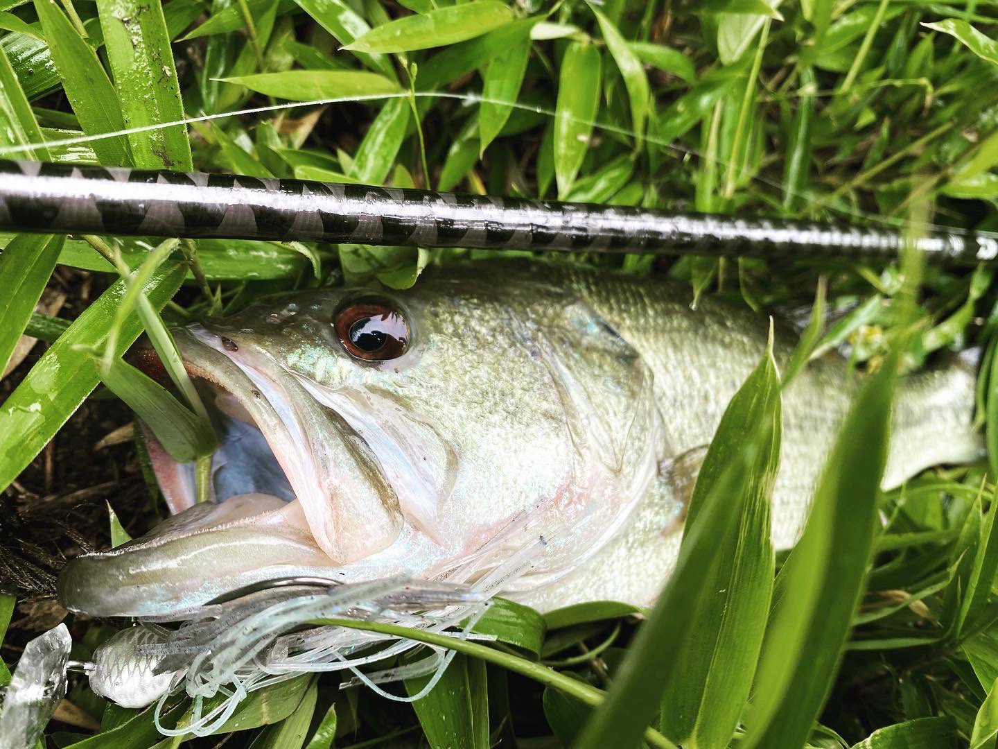 ヲカダ 兵庫 ジャックハンマーsb I字に近い印象で 場荒れしづらそう 釣り ルアー バス釣り バスフィッシング エバーグリーン ジャックハンマーsb ジャックハンマーステルスブレード チャターベイト B True