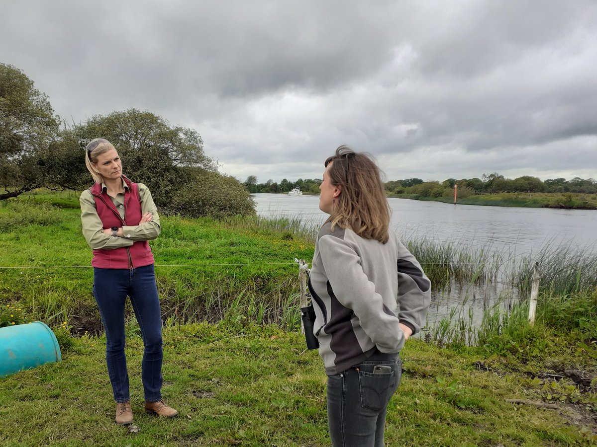 Pippa Hackett (@pippa_hackett) on Twitter photo Brendan works closely with Kathryn Finney from <a href="/BirdWatchIE/">BirdWatch Ireland</a> Ireland who also farms in this area, and co-ordinates the <a href="/CurlewEIP/">The Irish Breeding Curlew EIP</a>. We discussed how the water levels are managed, and the possibilities to help improve the situation here for these farmers. Brendan works closely with Kathryn Finney from <a href="/BirdWatchIE/">BirdWatch Ireland</a> Ireland who also farms in this area, and co-ordinates the <a href="/CurlewEIP/">The Irish Breeding Curlew EIP</a>. We discussed how the water levels are managed, and the possibilities to help improve the situation here for these farmers.