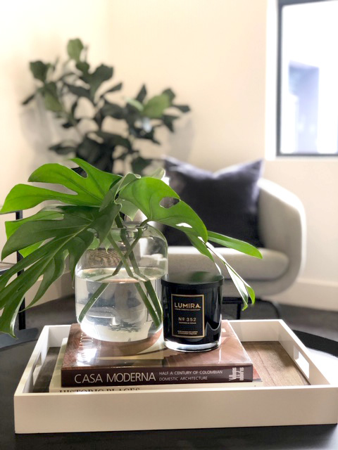The latest trend of adding indoor plants can brighten any room, boost your mood and even reduce stress.

We adore this room styled by Moran Property Styling!

#interiordesign #ultima #dreamhouse #moranpropertystyling