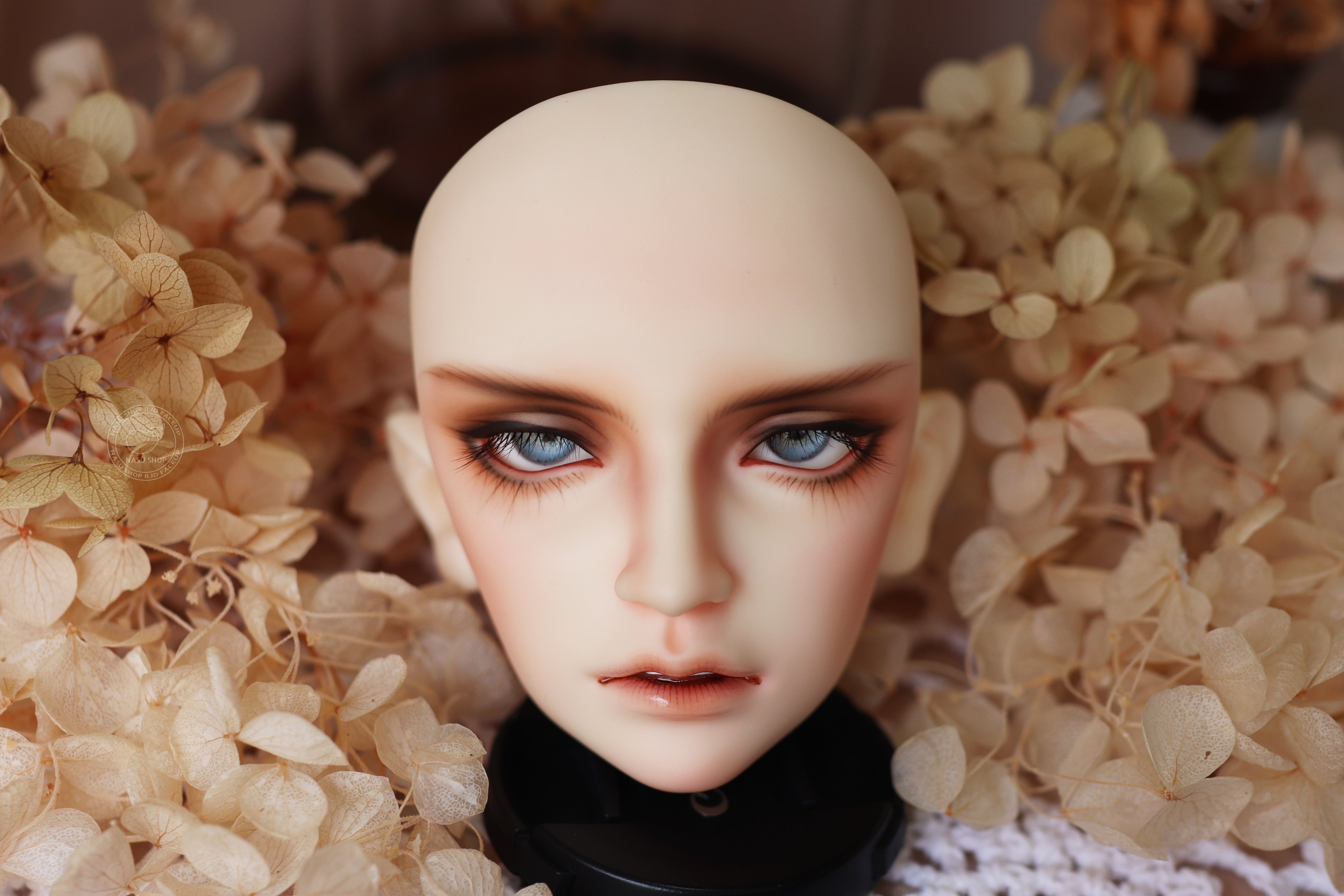宝井茄子 on X: 宝井茄子 on X: