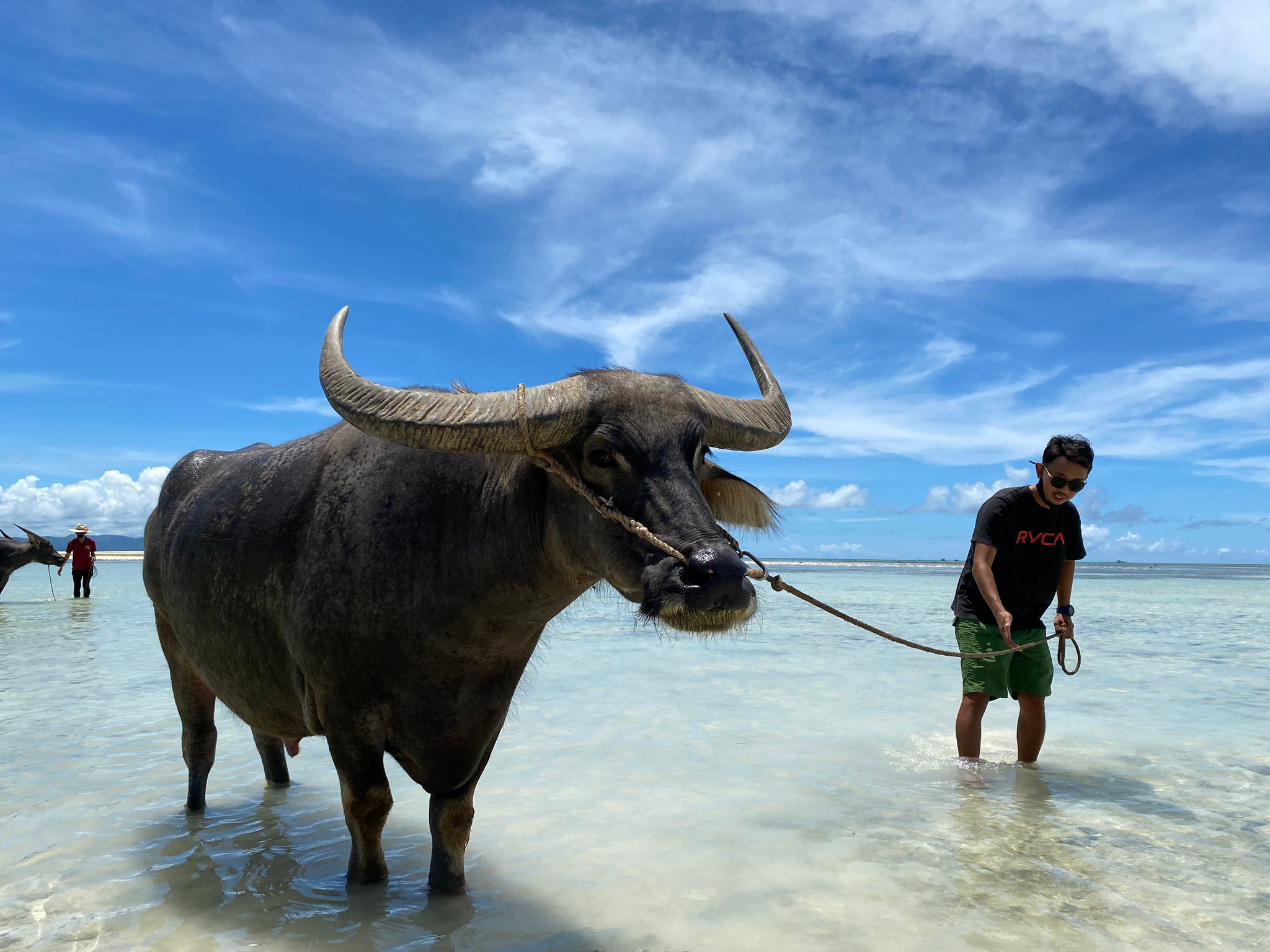 Omoide Amigo 想い出アミーゴ 竹富島 沖縄県 竹富観光センターの御者さんに誘われて一緒に海に行ってきました 大潮の干潮時に近く コンドイ浜がこんなに引いているのは初めて見ました 沖縄 八重山諸島 竹富島 竹富観光センター 水牛車観光