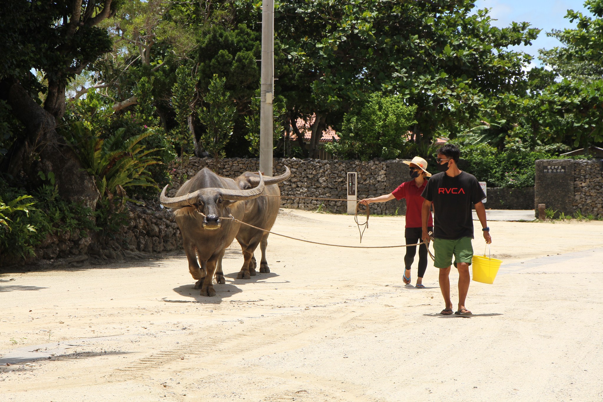 竹富観光センター Twitter Search Twitter