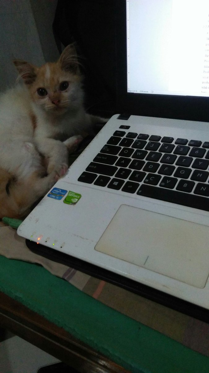 Solopokkk's tweet photo. Bolo nugas anyar https://t.co/OrvCr9x5Ka
