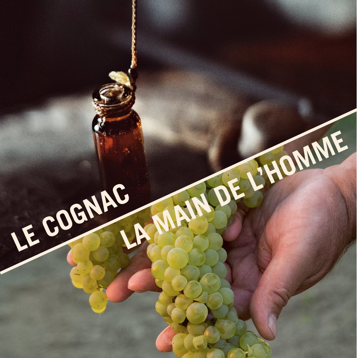La main de l'homme est indissociable du #Cognac et représente le trait d'union entre les femmes et les hommes et leur #terroir 👉 cognac.fr/decouvrir/savo…
📸 Benoit Linero &amp; BNIC / Aurélien Terrade