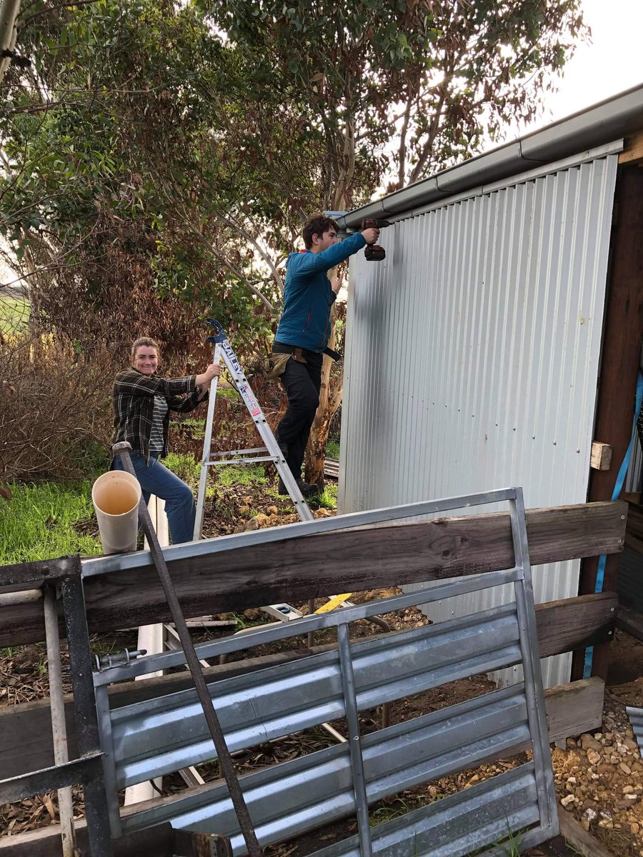 Big weekend with our kids and some of their amazing city friends learning new skills-300 trees planted, 4km droppers tied, electric fence stapled, domestic shed almost finished, ewes &amp; lambs checked &amp; bonfire, food, coffee, beverages, friendship, more food and beverages enjoyed.