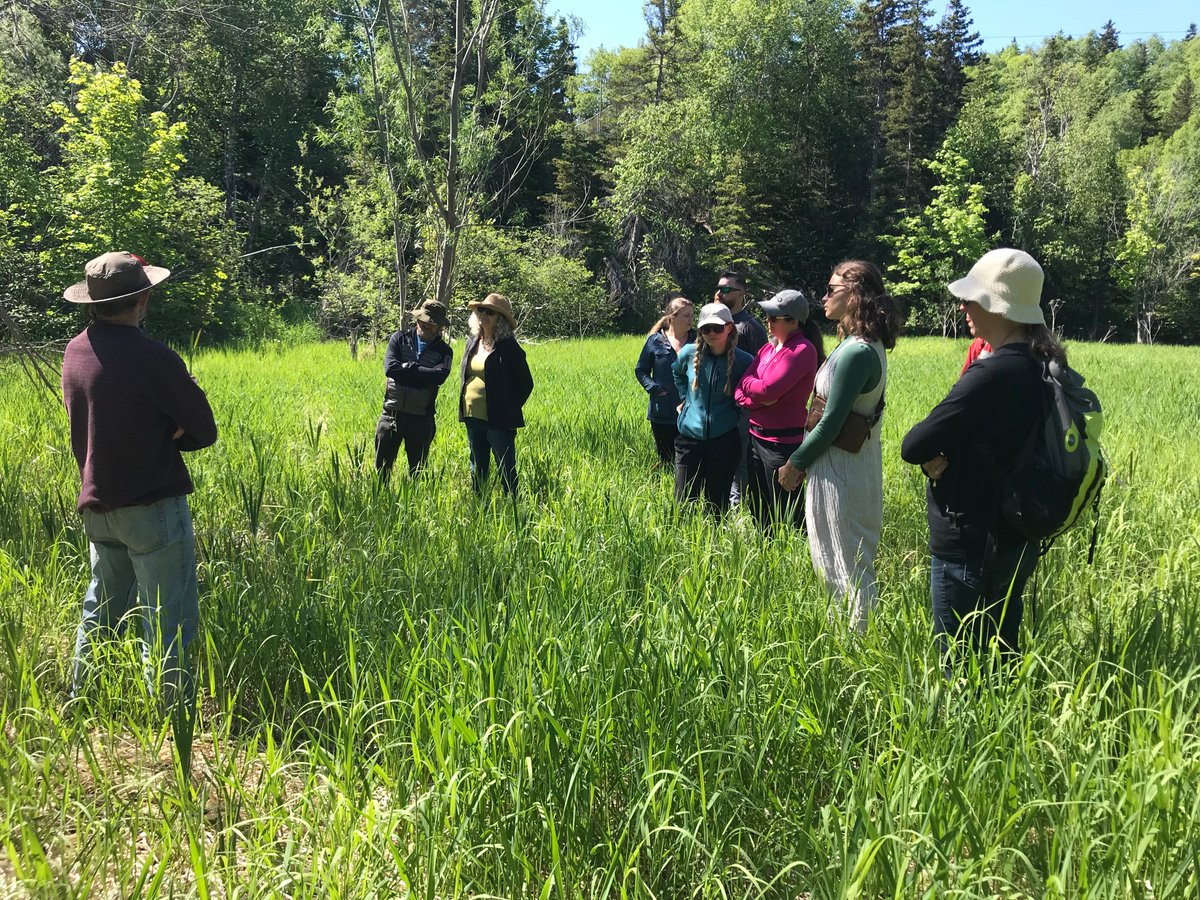 WECNL's tweet photo. Wonderful weather for our first foraging walk of the year! Thanks to Brian Bookhout who showed us the many edibles along the stream trail. He emphasized the importance of safe and responsible harvesting from the wild. If you want to learn more, join us for our next outing! https://t.co/WxCOJf97mv