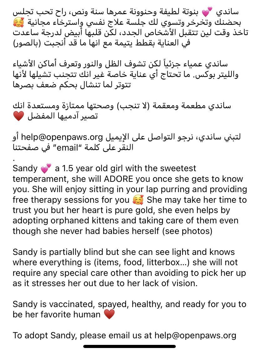 Open Paws tweet media