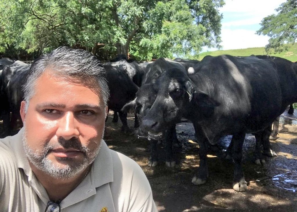 Gerardo Avila tweet media