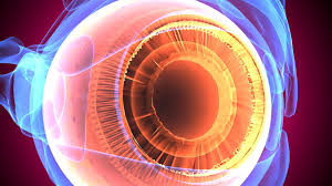 jullia_smith's tweet photo. Welcome to #Ophthalmology_2021 on #August 23-24, 2021 at #Barcelona, #spain. The conference facilitated with both #Online and #Physical mode. Submit an #abstract for the #Oral_Video_Poster_Presentation. Click here to know more:https://t.co/VXXdW7ieEa
WhatsApp: +447480022435 https://t.co/WUg9XzGbE7