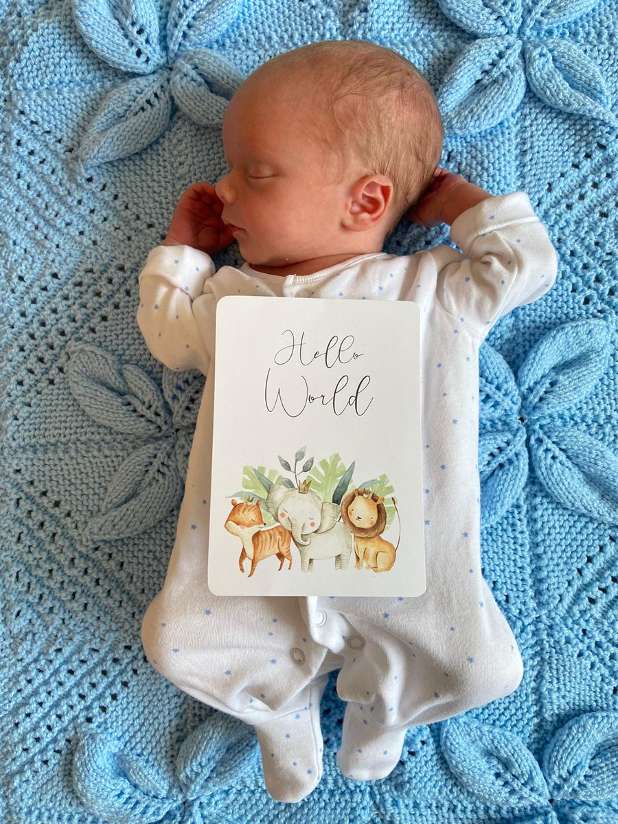 Fast asleep whilst having his picture took. Such a good boy :)