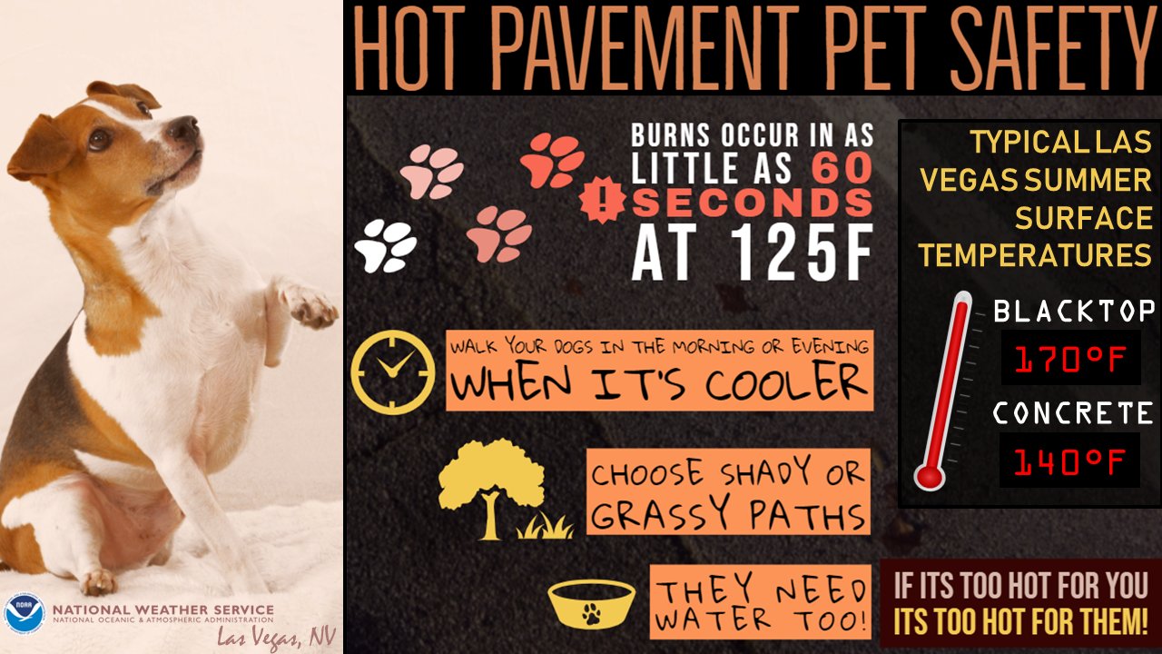 What Temperature Is Too Hot For Dogs To Walk On Pavement