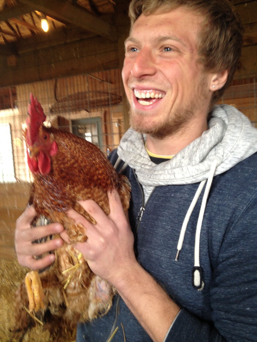 John Oberg (@johnoberg) on Twitter photo Seven years ago, I held a chicken for the first time at <a href="/SASHAFarm/">SASHA Farm Animal Sanctuary</a> Animal Sanctuary. I was amazed at how curious and intelligent they were! 🧡
If everyone saw farm animals up close like this, they'd *never* pay someone else to kill them just to eat them. RT if you agree! 🙏 Seven years ago, I held a chicken for the first time at <a href="/SASHAFarm/">SASHA Farm Animal Sanctuary</a> Animal Sanctuary. I was amazed at how curious and intelligent they were! 🧡
If everyone saw farm animals up close like this, they'd *never* pay someone else to kill them just to eat them. RT if you agree! 🙏