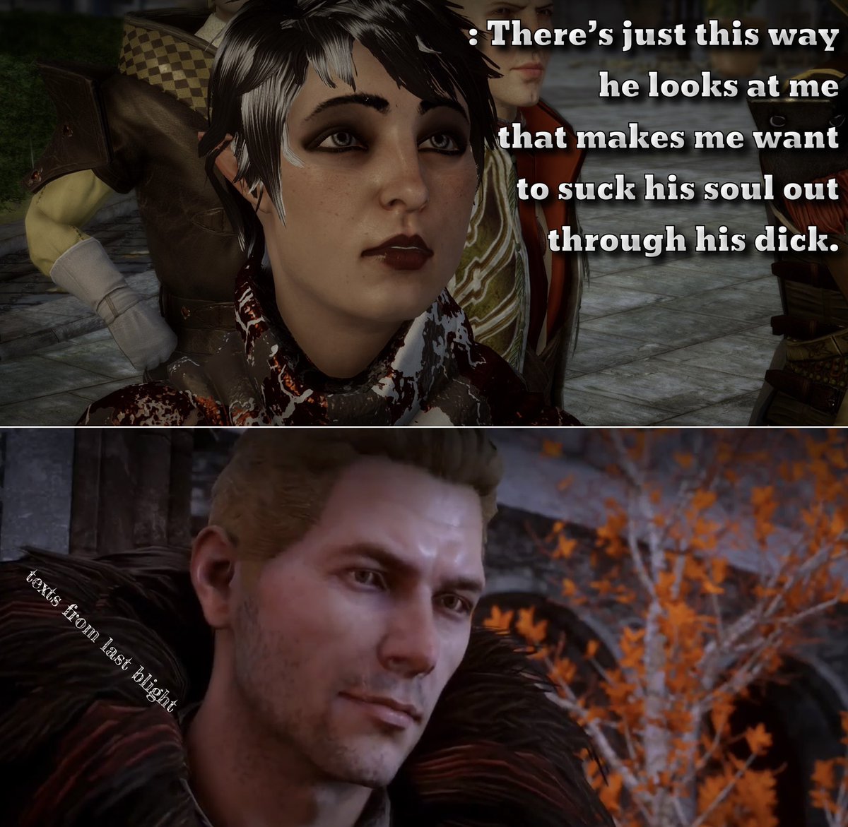 #dragonage #dragonageinquisition #dragonage2 #dragonageorigins #dragonagememes #tfln #textsfromlastnight #textsfromlastblight