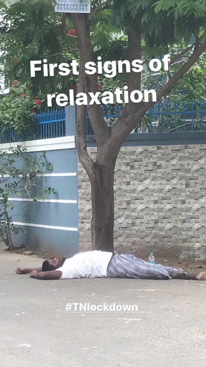 babypickles tweet media