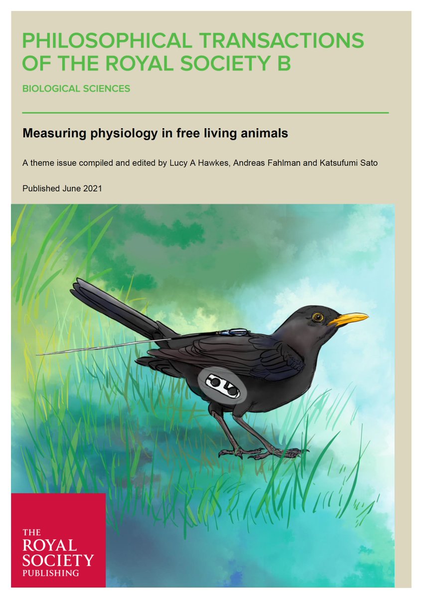DrLucyHawkes's tweet photo. OUT TODAY: 'Measuring physiology in free living animals' read about the cutting edge of tech development &amp; what studying animal physiology can teach us: https://t.co/8tlaPOF4Gq (and yes, there's a Part 2 in 2 wks!) #physiology #biologging (1/3) https://t.co/MP8Yl5lYkI