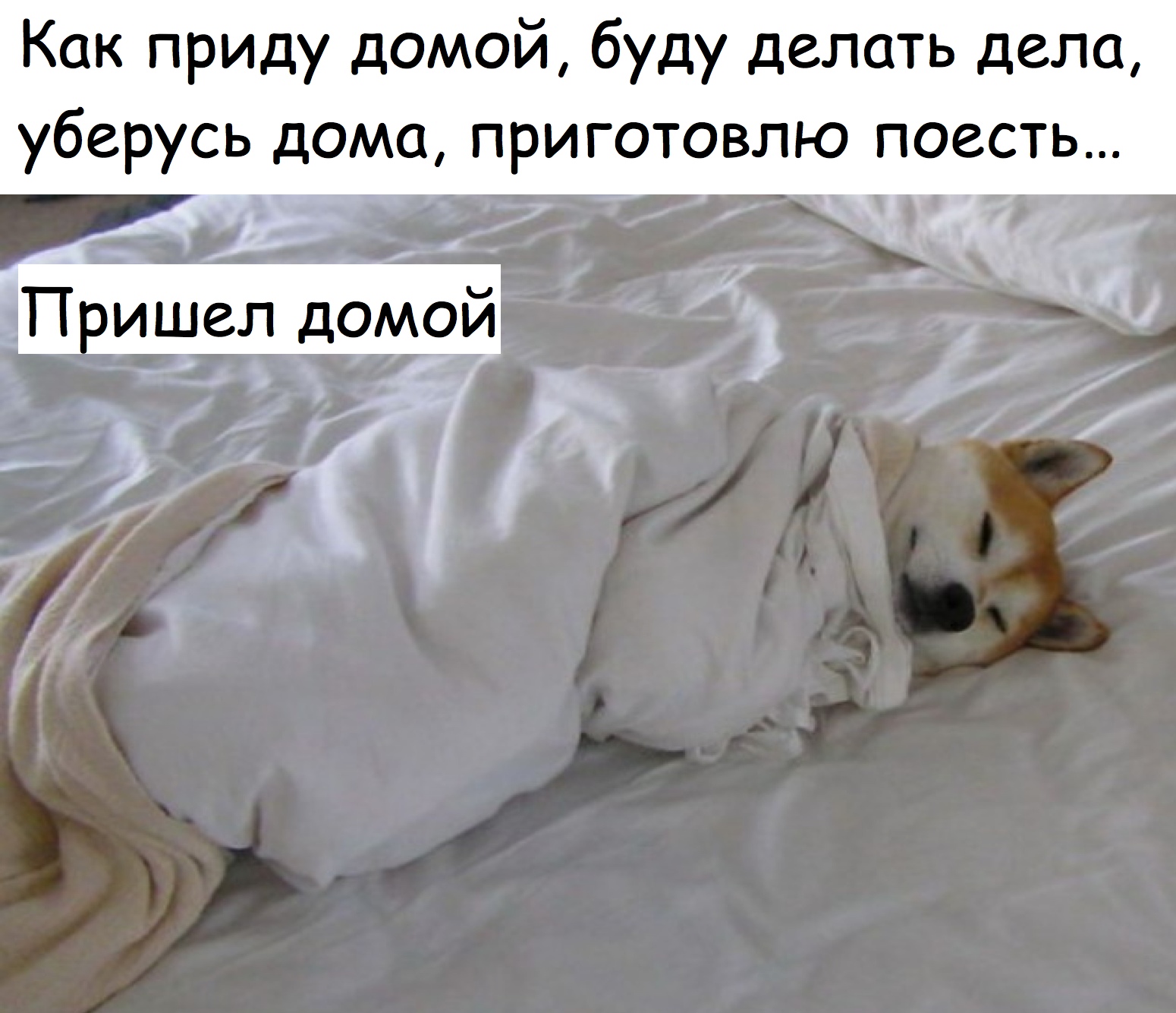 Пришел домой