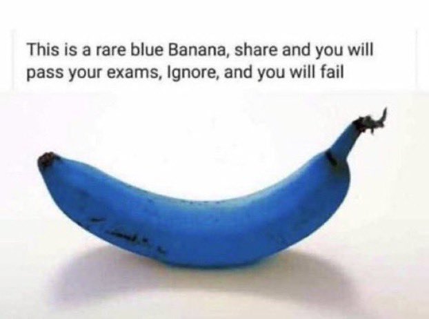 n526732154's tweet photo. NON SOTTOVALUTATE IL POTERE DELLA BANANA BLU.... SONO IL 24 CAZZO SIIIIII #maturita2021 https://t.co/ieh9W1vMhb