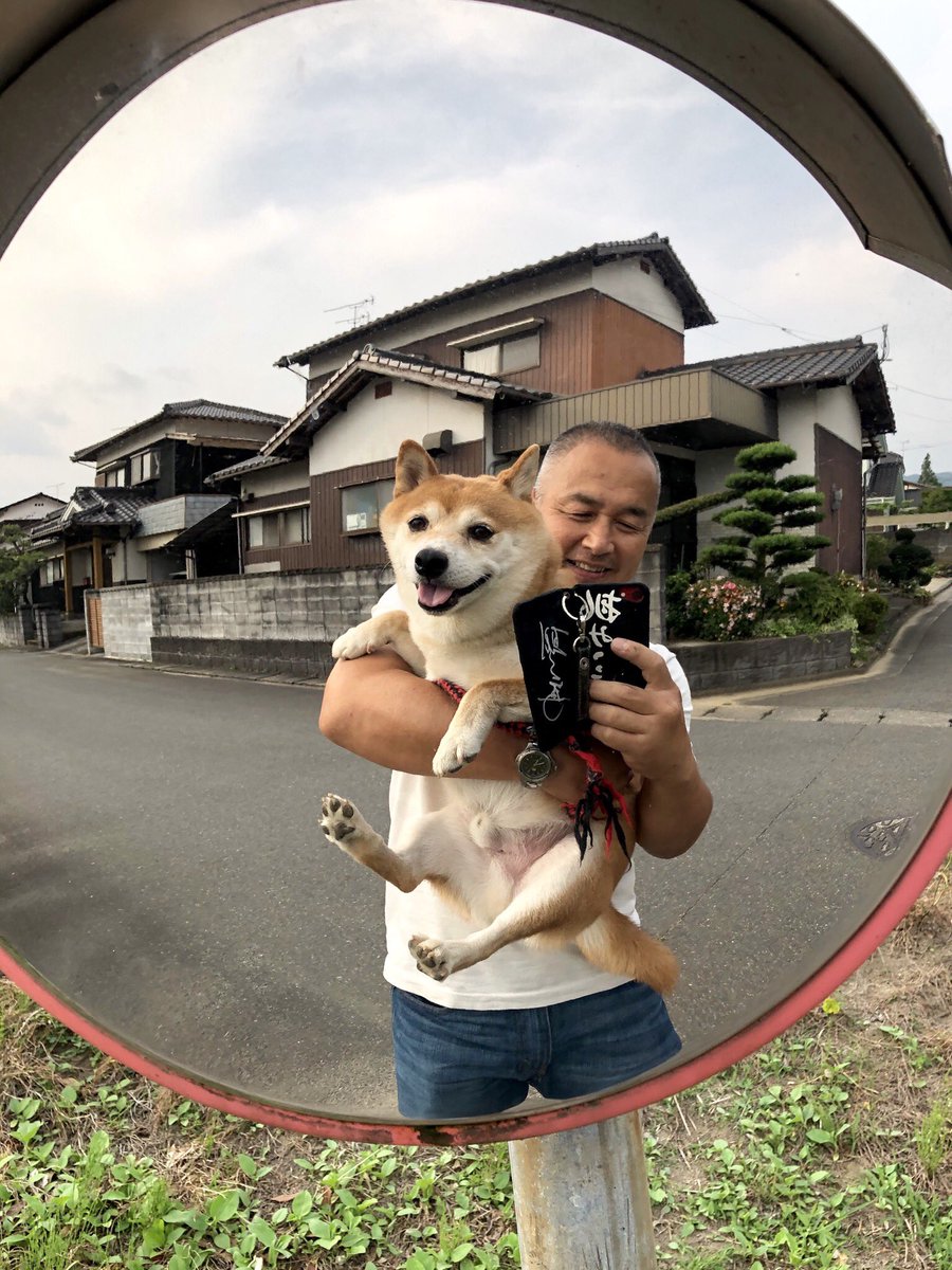 夜練習前のお散歩

近所のカーブミラーで。

コンビで自撮り📸 オッス！