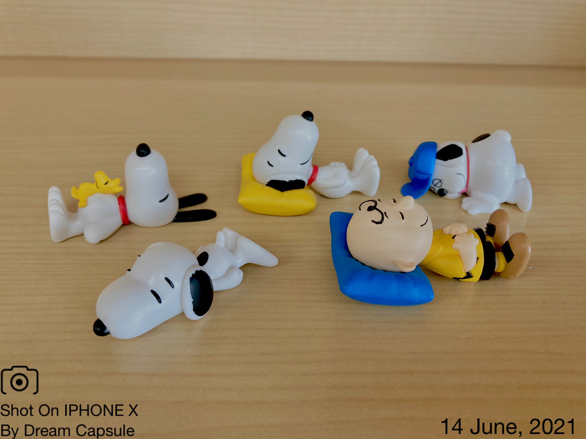 تويتر ドリームカプセルの中の人 公式 على تويتر 6月のプレゼントキャンペーン第28弾は こちらもみんなお休み中 Peanuts すやすやおやすみマスコット 全5種セットを2名様にプレゼントします 応募条件はこのアカウントをフォロー Amp リツイートしてください