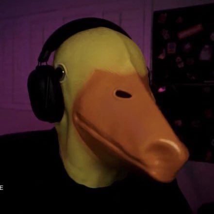 notcontrast's tweet photo. reggie is not my streamer https://t.co/lsnk8tCTQi