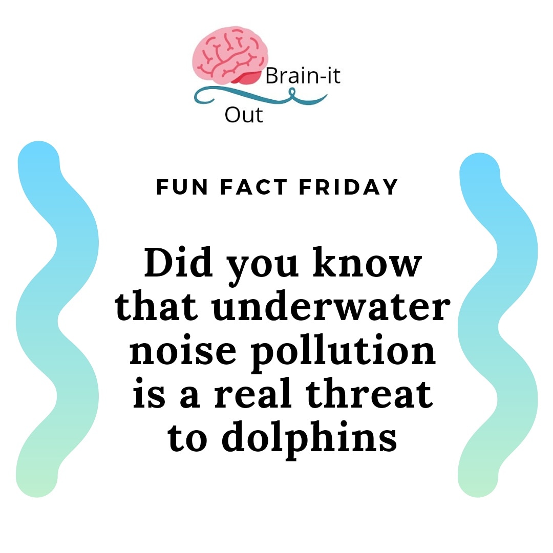 Fun Fact Friday!!
.
.
.
#FunFactFriday #FunFact #Dolphins #underwaternoisepollution