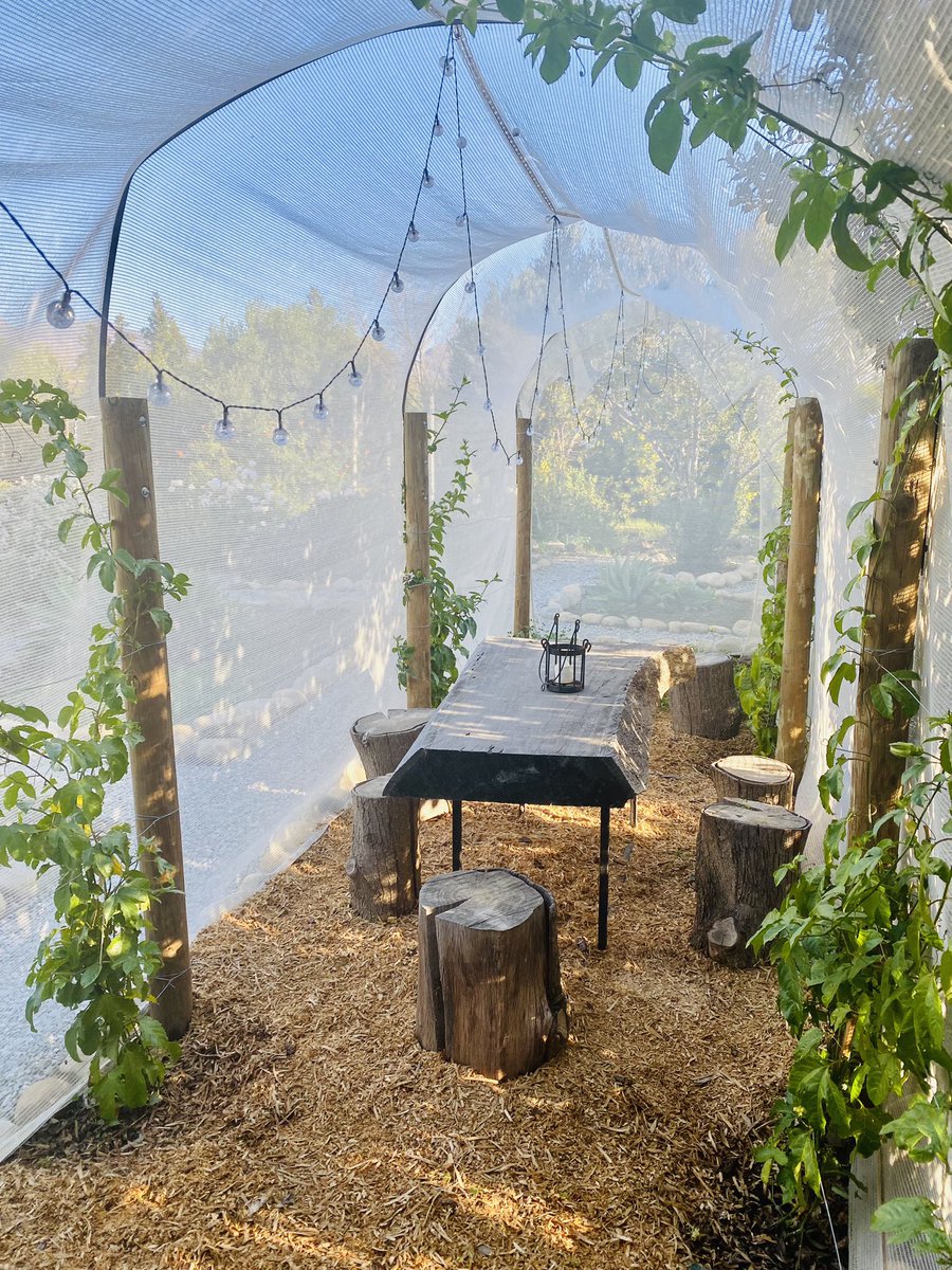 | the night garden
I walked into the garden last night to find the charming little tunnel was lit up! How gorgeous! R450pppn in McGregor Book online at mcgregor-accommodation.co.za