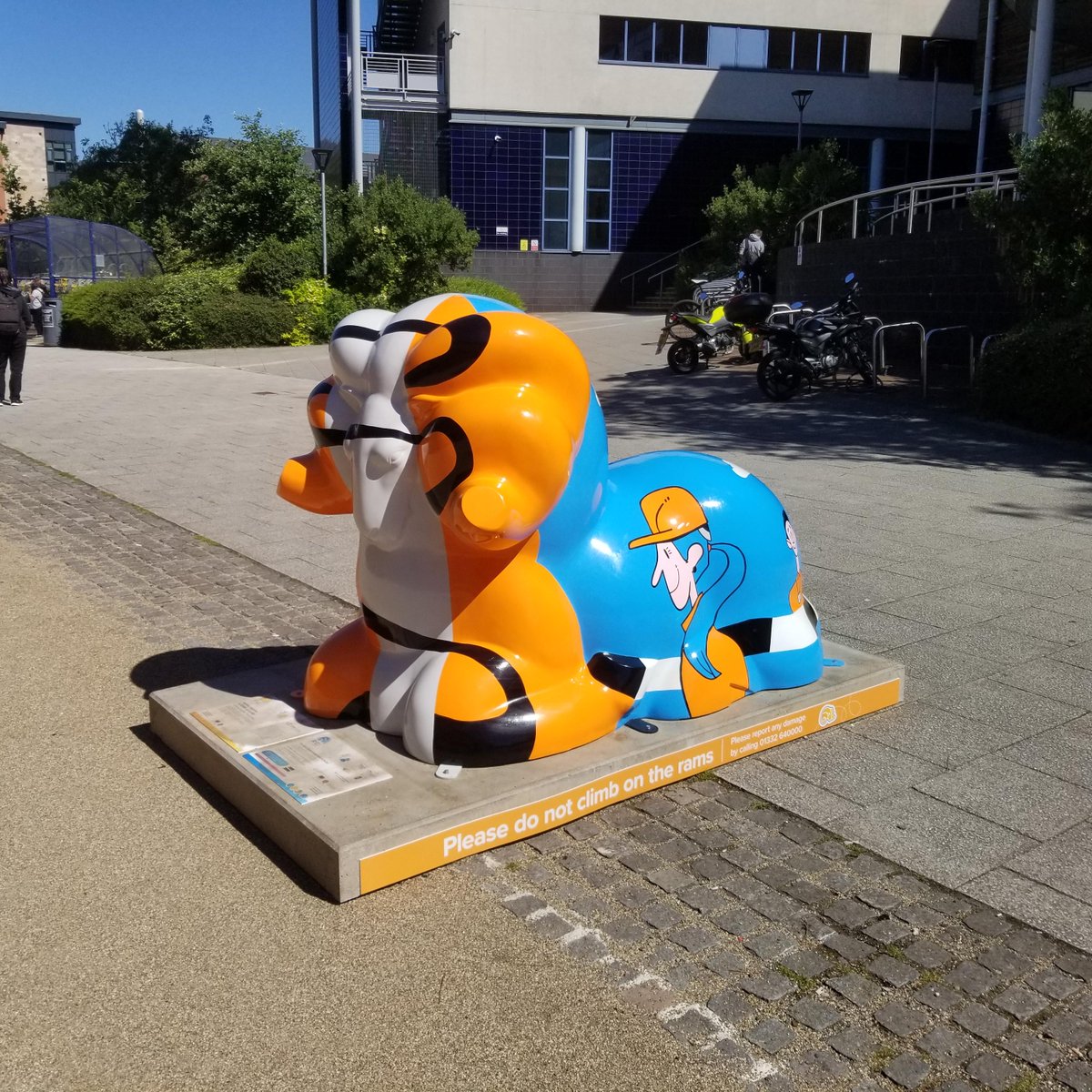 BrooksideDerby's tweet photo. Another beautiful day here in Derby and the Derby Ram Trail Rams are looking amazing in the sun. If you have any pics or found them all please let us know #Ramtrail #Derbyramtrail #Derby https://t.co/9iFtROjV57