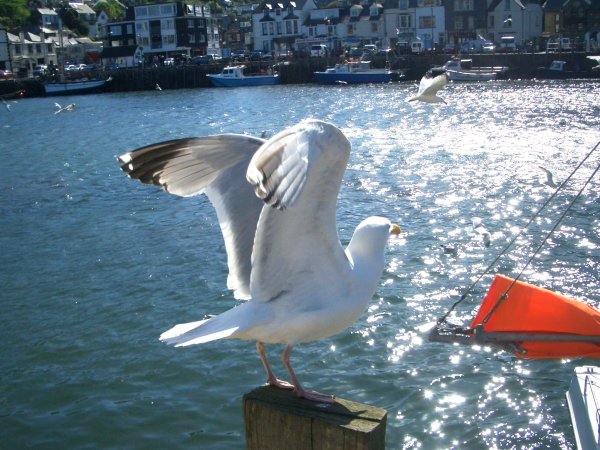 #Cornwall #SouthWest  
<a href="/Cornwall_SW/">Cornwall</a>  😎