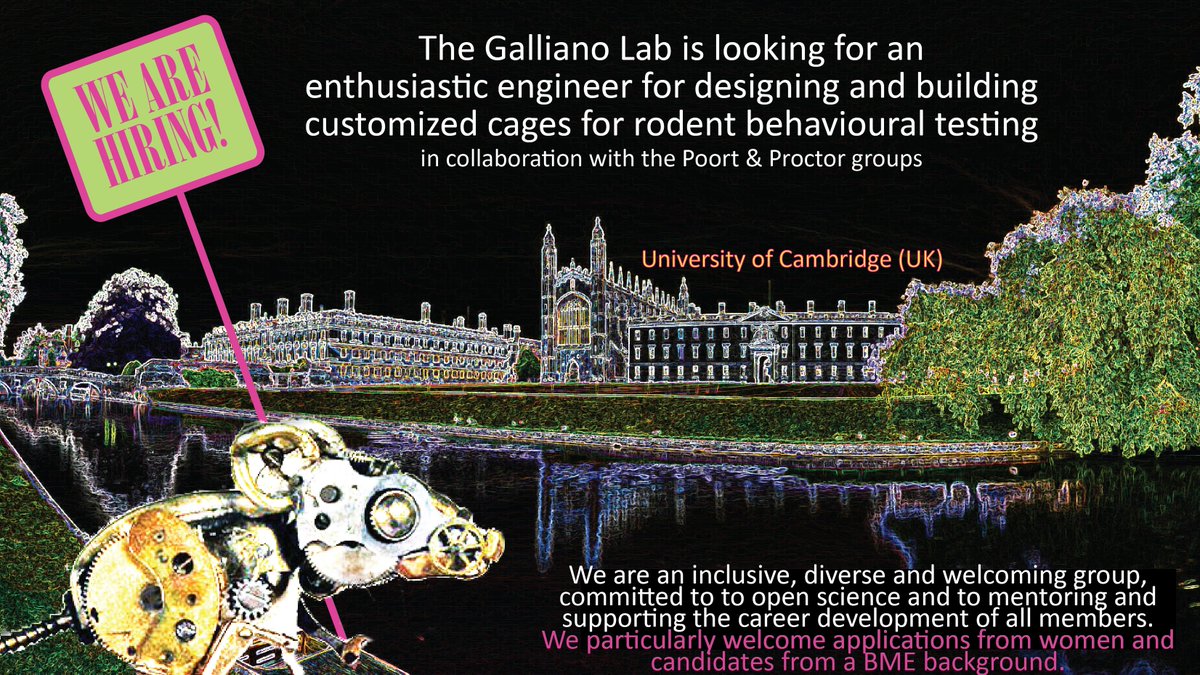 Elisa Galliano (@eg_neuro) on Twitter photo 📢Job 🧵 plz retweet!
1/ We are looking for a proactive and enthusiastic engineer to join the Galliano+Poort/Proctor labs <a href="/Cambridge_Uni/">Cambridge University</a>
Goal: design & build environments for 🐭 behavioural testing across multiple sensory modalities
jobs.cam.ac.uk/job/30011/
Deadline: June 30 📢Job 🧵 plz retweet!
1/ We are looking for a proactive and enthusiastic engineer to join the Galliano+Poort/Proctor labs <a href="/Cambridge_Uni/">Cambridge University</a>
Goal: design & build environments for 🐭 behavioural testing across multiple sensory modalities
jobs.cam.ac.uk/job/30011/
Deadline: June 30
