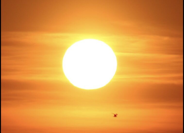 På vej til møde hos FVST om obligatorisk berigelse af fødevarer med vitamin D. Synes der er mange andre muligheder der skal afprøves, før vi griber til obligatorisk berigelse af vores fødevarer.