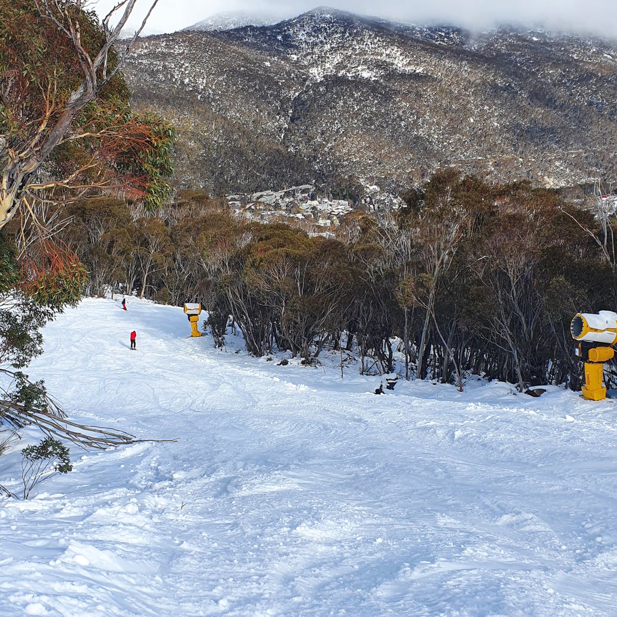 antsharwood's tweet photo. Ok change of pace. Few nice shots from the hill at Thredbo today showing the light but perfectly skiable early season cover. Many more here on this @skicomau thread https://t.co/oIIBOY5R5o https://t.co/t00Vq7Kx11