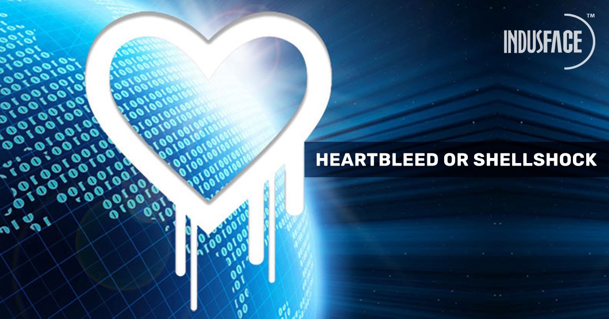 Indusface's tweet image. 👉What is more dangerous? Heartbleed or Shellshock?
📌Explore, Heartbleed or Shellshock? – It’s like ‘Between the Devil & The Deep Blue Sea’!: bit.ly/35pdyNv
#bashshellscripting #heartbleed #openssl #vulnerabilities #webapplicationsecurity #waf #apptrana #indusface