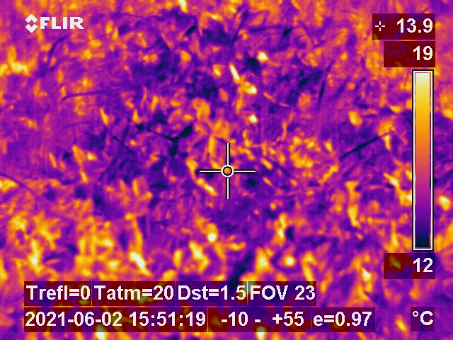 annetteraffan's tweet photo. As a keen #photographer, I ❤️ working with #Science  images; imagine how excited I was when I got to use (play with...) an #infrared camera for the day to #photograph the grass plots I'm using. 
⬇️🤩⬇️
The cool parts are grass and the hot parts, clover! #biodiversity #sciencepics https://t.co/5vsPBvF4hh