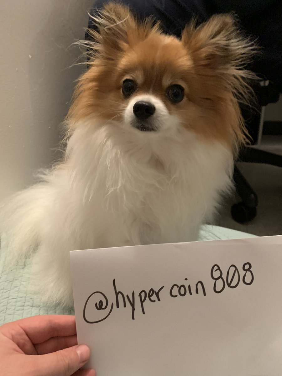 hypercoin808's tweet photo. Skully is very excited about the #goldshell #Dogecoin #MINIDOGE

But she is uncertain about why her picture is being taken! https://t.co/VtZtgnwYcB
