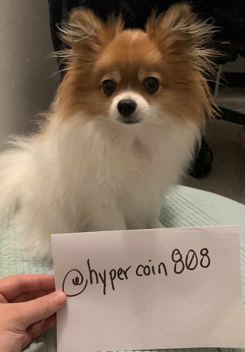 hypercoin808's tweet photo. Skully is very excited about the #goldshell #Dogecoin #MINIDOGE

But she is uncertain about why her picture is being taken! https://t.co/VtZtgnwYcB