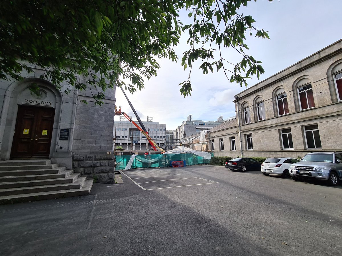 Jonathan Fitzpatrick (@jonathanfitzev) on Twitter photo The sun is shining between our Zoology and Anatomy building for the first time since 1887! The works are to facilitate our E3 building, however look out for the facade which we'll integrate into the new E3 development! <a href="/tcddublin/">Trinity College Dublin</a> <a href="/tcddublin_FS/">Facilities & Services, Trinity College</a> The sun is shining between our Zoology and Anatomy building for the first time since 1887! The works are to facilitate our E3 building, however look out for the facade which we'll integrate into the new E3 development! <a href="/tcddublin/">Trinity College Dublin</a> <a href="/tcddublin_FS/">Facilities & Services, Trinity College</a>