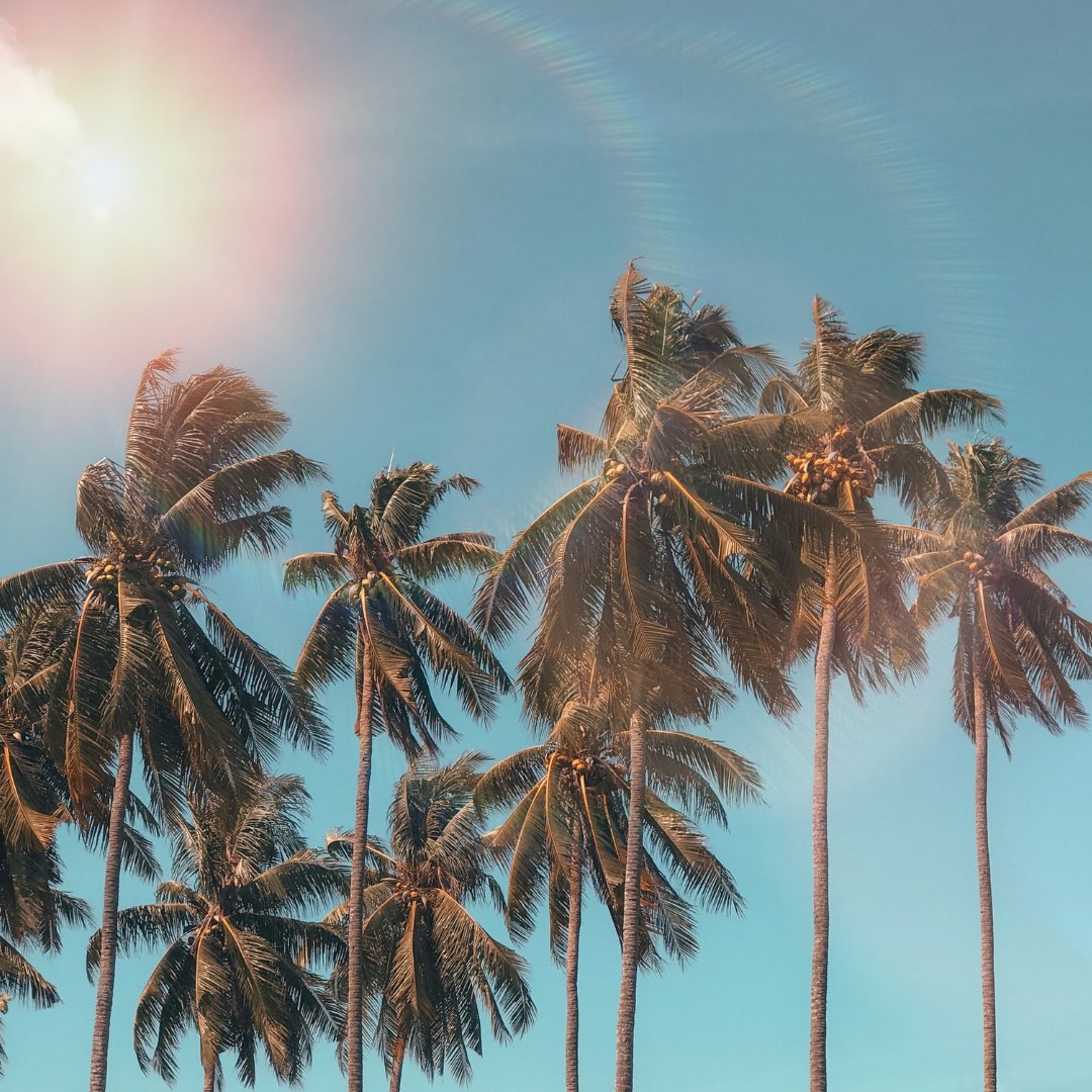 JM Coaching tweet media