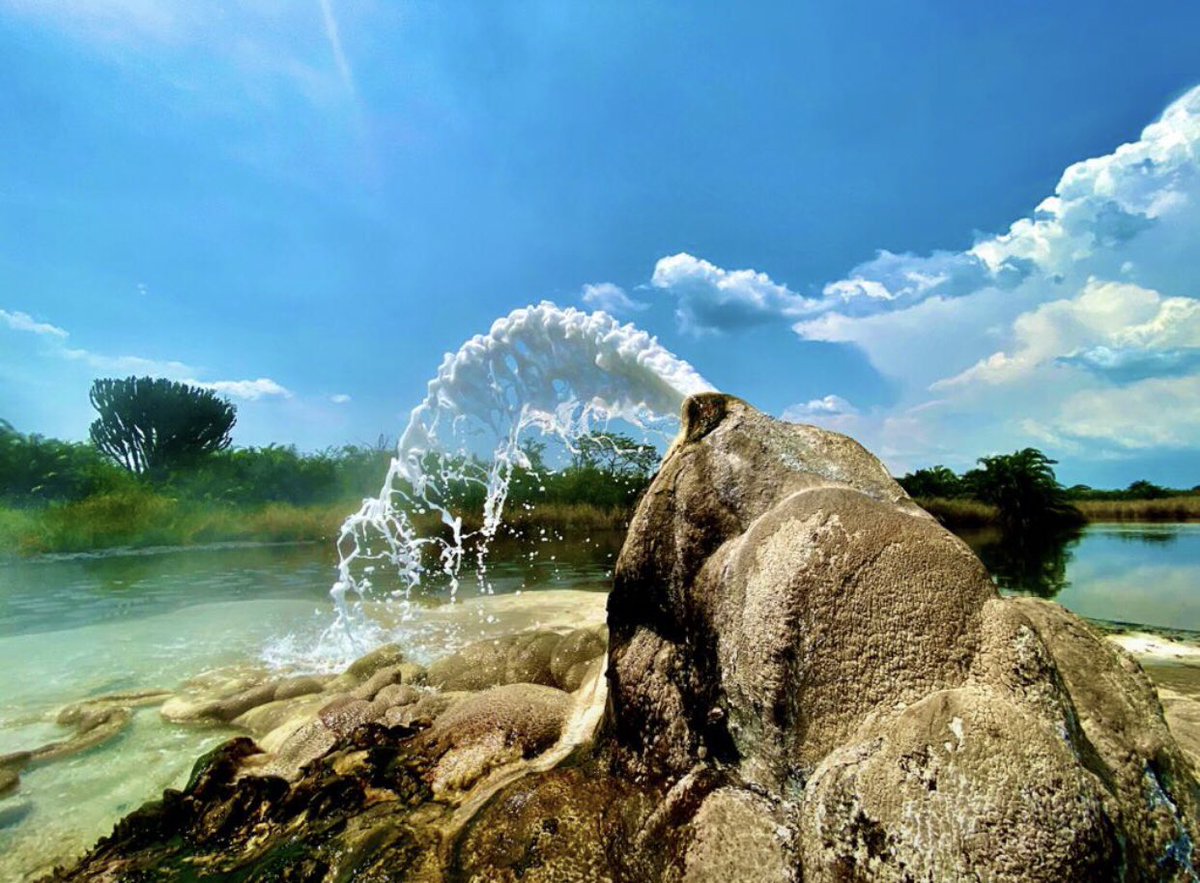 TrailblazerUg's tweet photo. The Sempaya hot springs should be something that should be added on every ones bucket list of things to do.

Book with us @TrailblazerUg 
Email: info@trailblazer.co.ug 
Website:https://t.co/u6cvLyrzPi https://t.co/GCNnNOlSpi